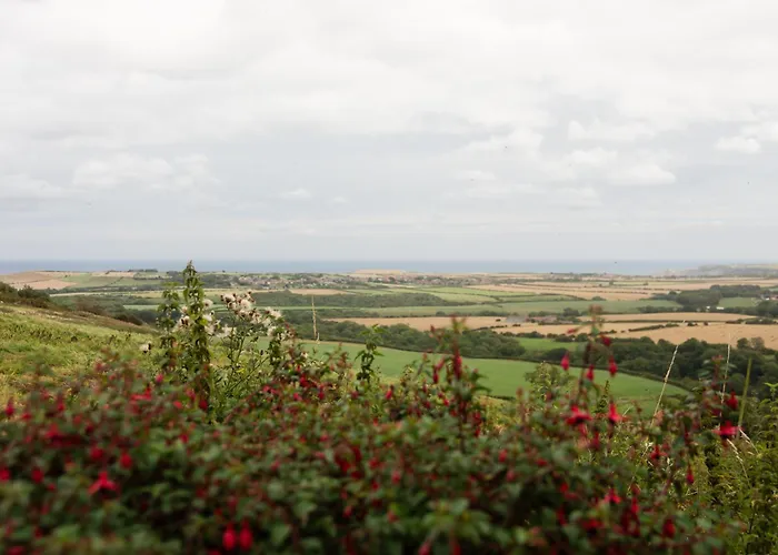 Holiday home Spangle Cottage, Borrowby Farm Roxby