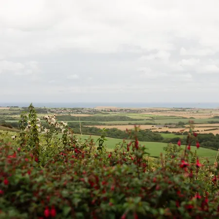 度假居 Spangle Cottage, Borrowby Farm Roxby